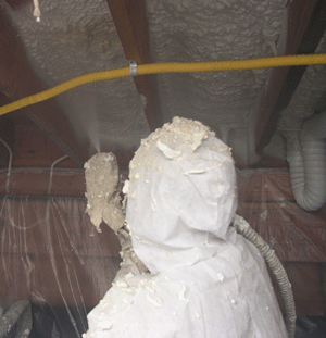 Inglewood CA crawl space insulation